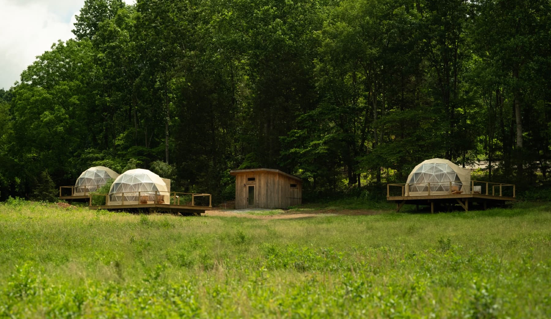 Three Luna domes set apart on a wooded property