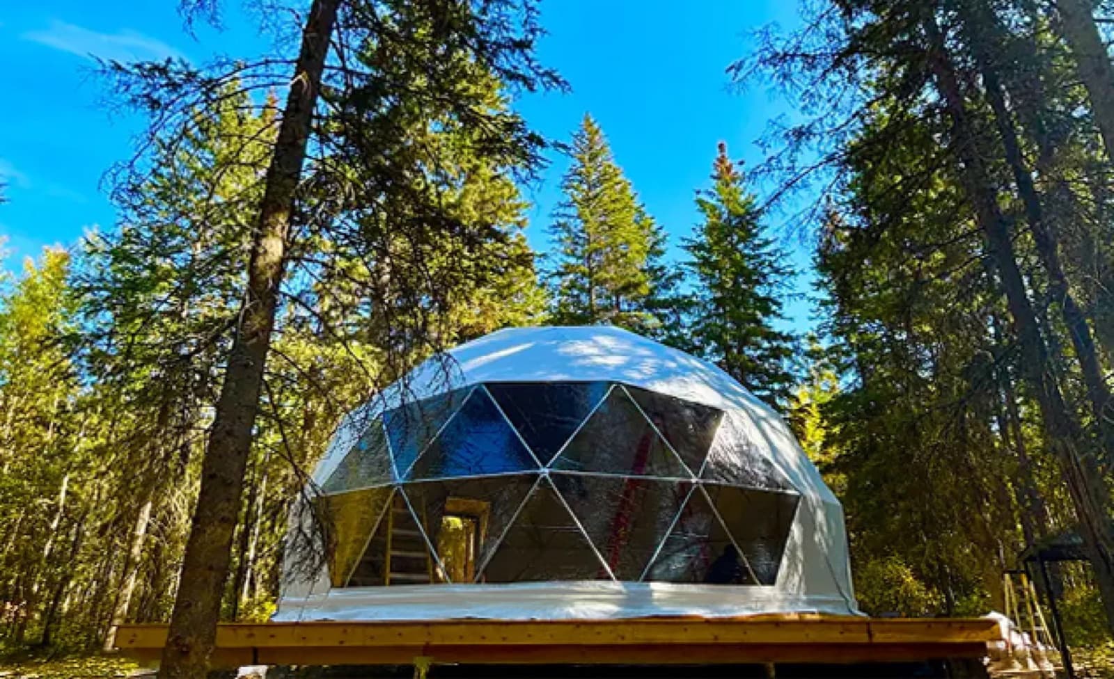 Luna geodesic dome installed among trees